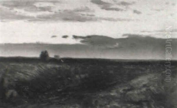 Dachauer Moor - view 1
