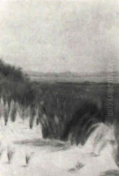 Dunen Bei Knokke - view 1