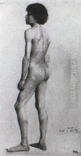 Study Of An Adolescent Male Nude - view 1