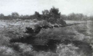 Gebusch Im Moorland by Emilie Mediz-Pelikan