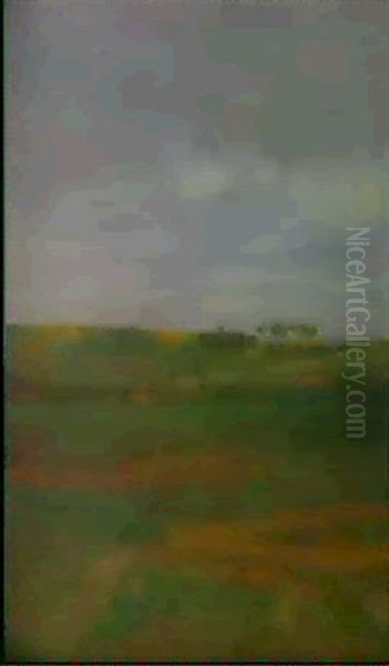 Dunenlandschaft (knokke) - view 1