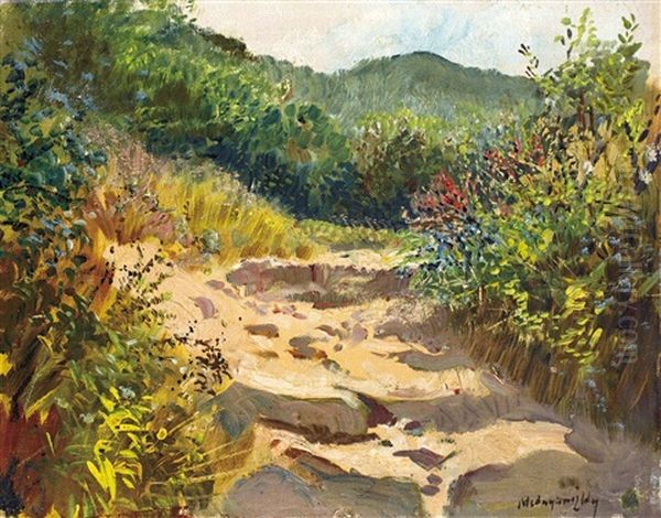 Stream - view 1