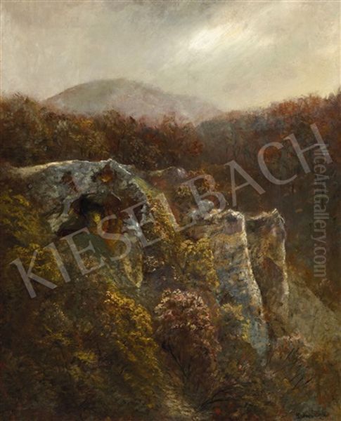 Rocky Autumn Landscape In Zugliget - view 1