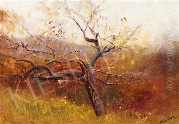 View From The Hill (autumn Landscape) by Laszlo Mednyanszky