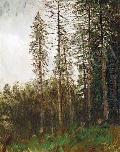Pine Forest