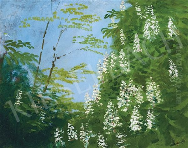 Chestnut Tree Blossoming (may) - view 1