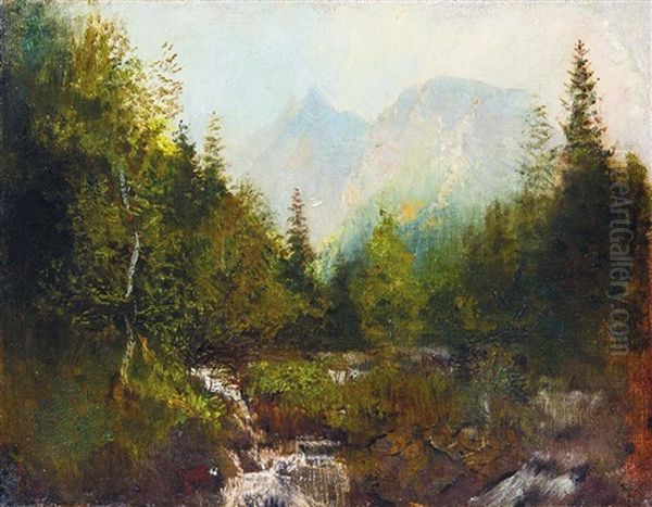 Waterfall In The Tatras - view 1