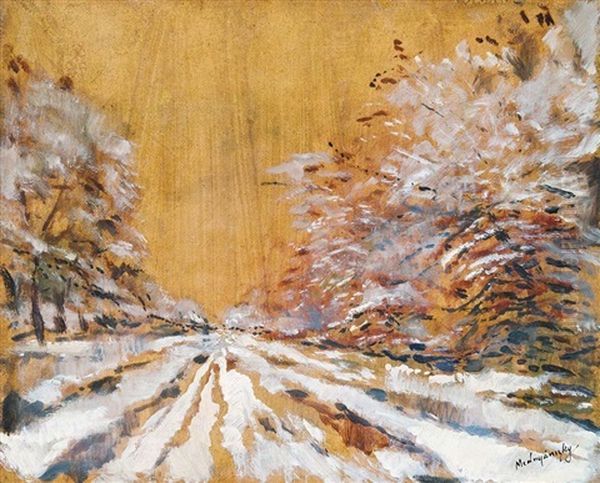 Snowy Road - view 1