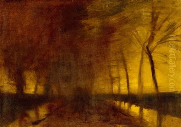 Forest At Dawn - view 1
