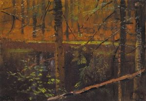 Forest Forest