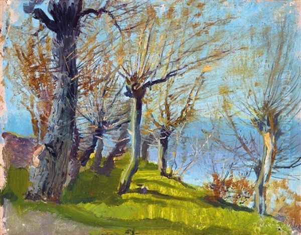 Forest - view 1
