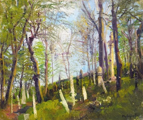 Forest - view 1