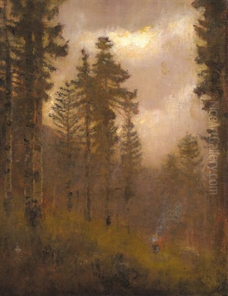 Forest In Autumn - view 1