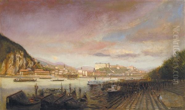 View Of The Castle With Bulding The Elizabeth Bridge In The Background - view 1