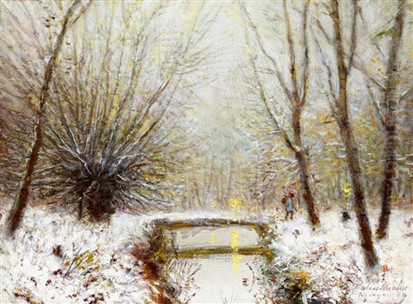 Winter Sunlight - view 1