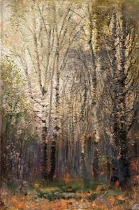 Birch-wood In City Park