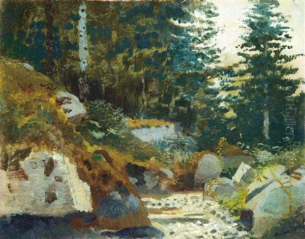 Streamlet In The Tatras - view 1