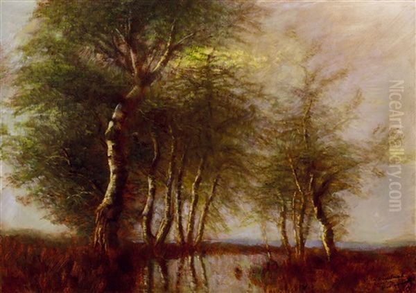 Trees By The River (mirroring) - view 1