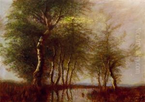 Trees By The River (mirroring) Trees By The River (mirroring)