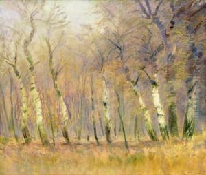 Birch Forest Birch Forest