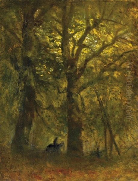 Rider In The Forest - view 1