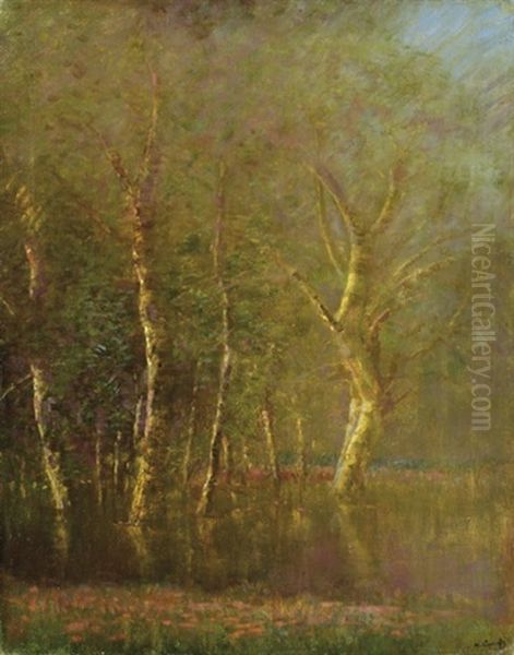 Forest Detail - view 1
