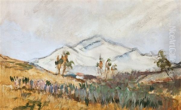 The High Tatra Landscape - view 1