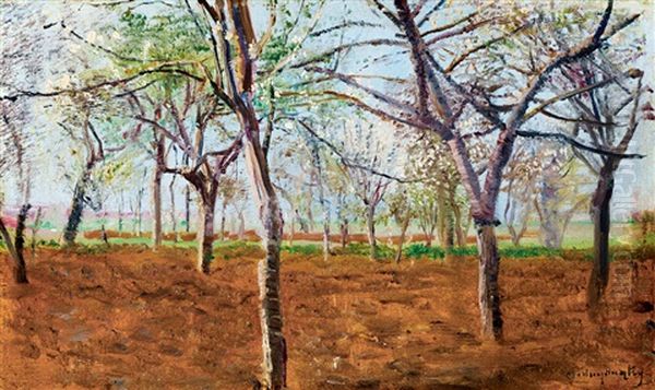 Blossoming Apple Trees - view 1