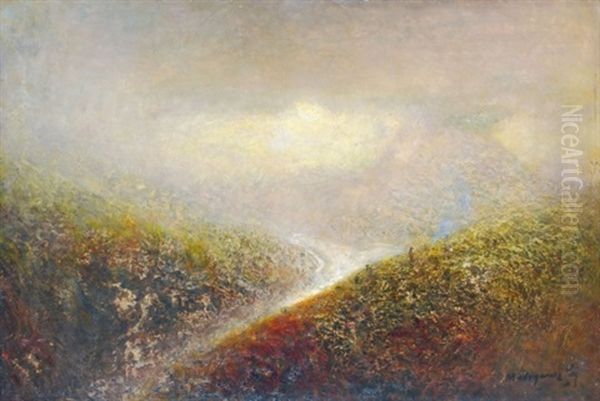 Valley In The Moonlight - view 1