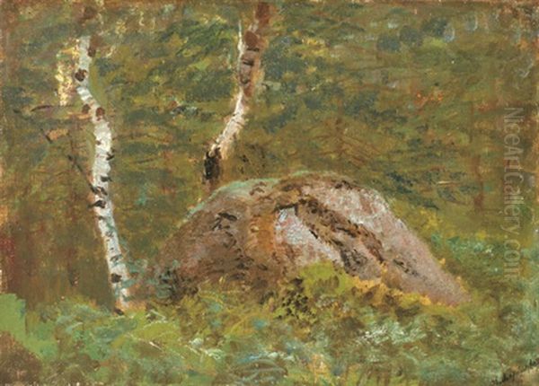Inside The Forest - view 1