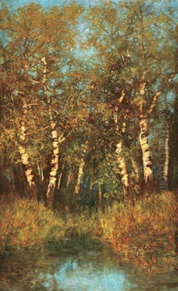 Birch Trees - view 1