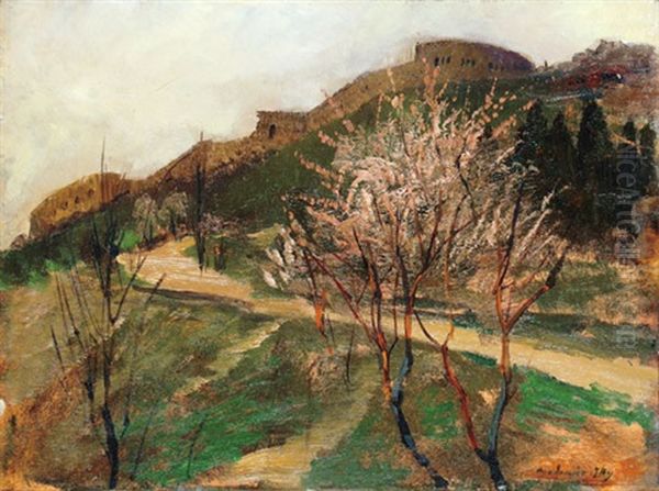 Citadella - view 1