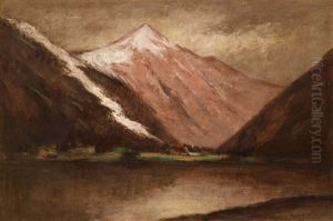 Gebirgssee In Der Hohen Tatra (?)