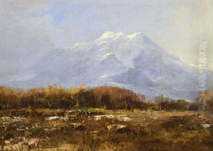 Tatra Landscape