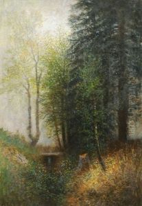 Forest Forest
