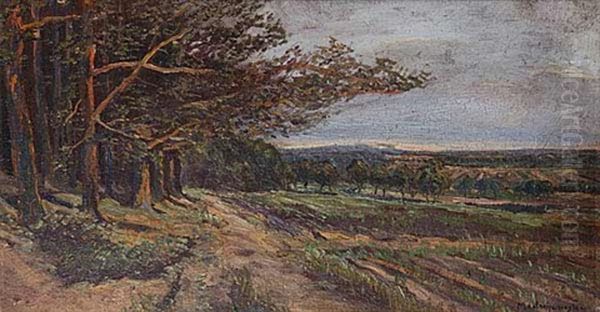 On The Edge Of The Forest - view 1