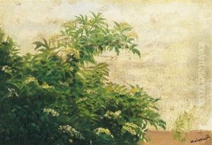 Viragzo Bodzabokor (blossoming Elderberry Bush) by Laszlo Mednyanszky