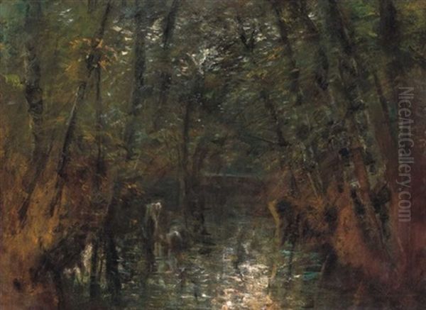 Erdobelso Patakkal (forest Interior With A Stream) - view 1