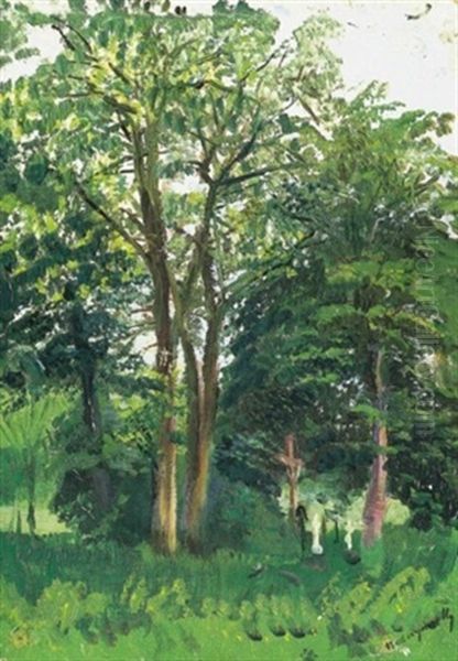 Tavaszi Erdo (spring Forest) - view 1