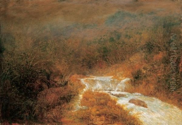 Erdoreszlet Patakkal (forest Sceen With A Brook) - view 1