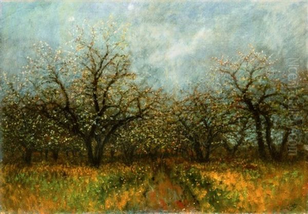 Viragzo Fak (blooming Trees) - view 1
