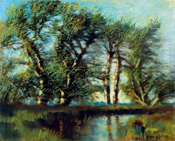 Patakparti Fak (brookside Trees) - view 1
