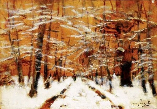 Teli Erdo (winter Forest) - view 1