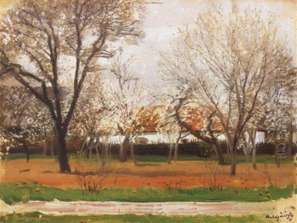 Tavasz (spring) - view 1