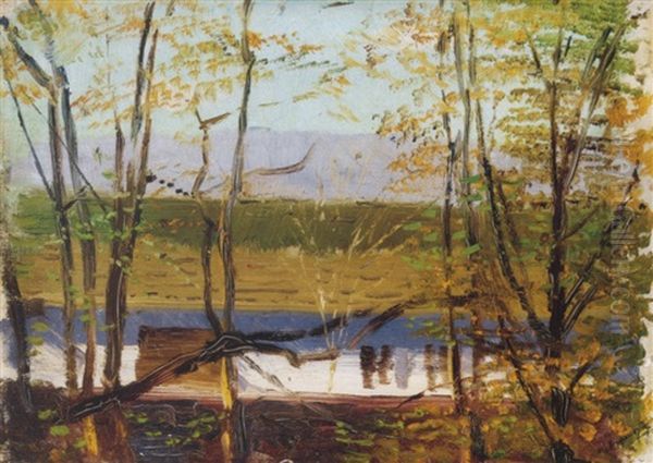 Feher Falu Haziko Fak Kozott (white-walled Cottage Amongst Trees) - view 1