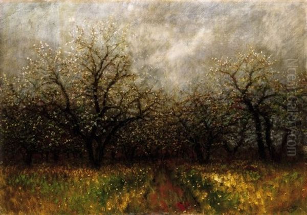 Viragzo Fak - Tavasz (blooming Trees - Spring) - view 1