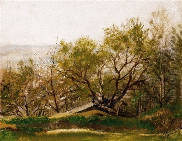 Viragzo Fak (blooming Trees) - view 1