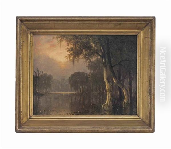 Atchafalaya River Swamp - view 1