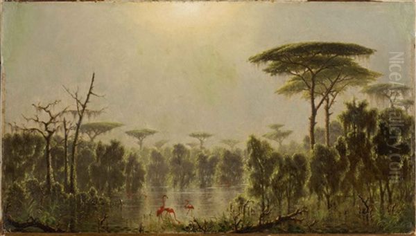 Flamingos On The Marsh, Likely Louisiana - view 1