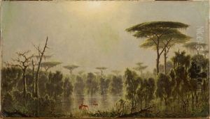 Flamingos On The Marsh, Likely Louisiana
